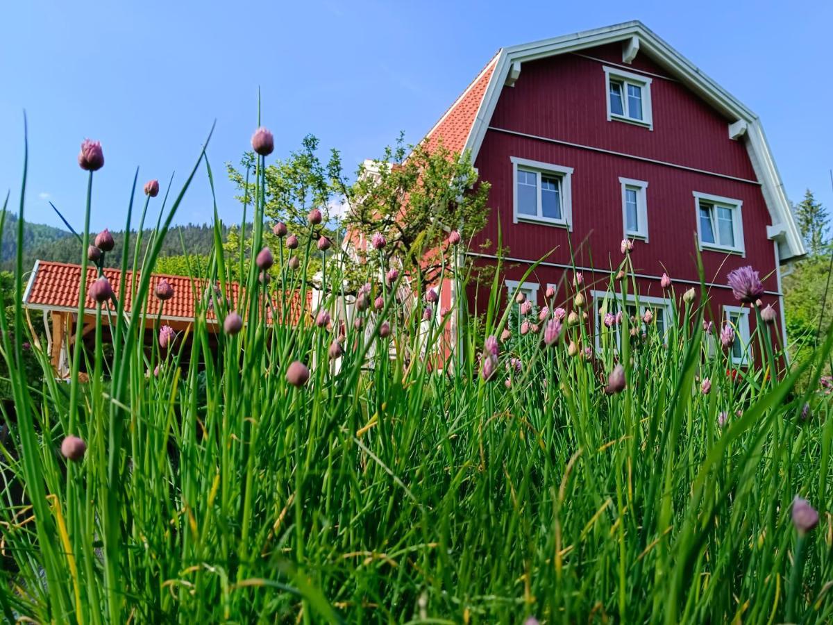 Haus Gruenfels Apartment Murau Exterior foto