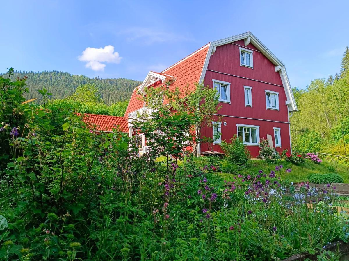 Haus Gruenfels Apartment Murau Exterior foto